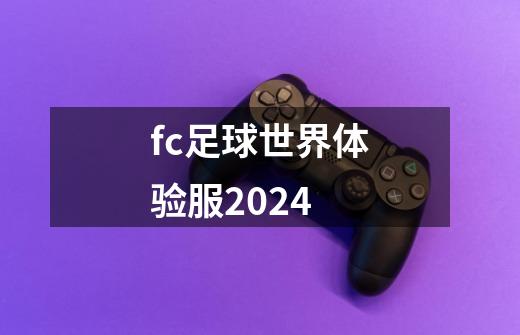 fc足球世界体验服2024-第1张-游戏资讯-丘大网