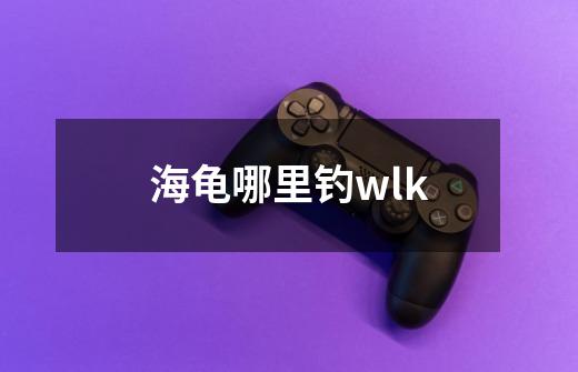 海龟哪里钓wlk-第1张-游戏资讯-丘大网