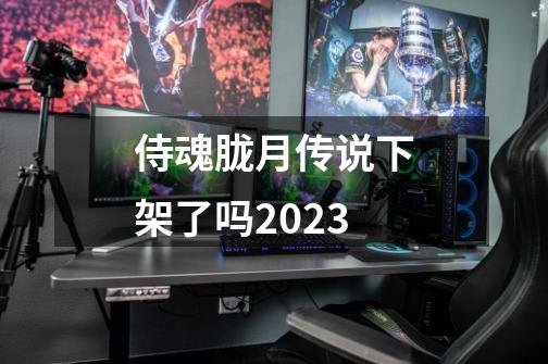 侍魂胧月传说下架了吗2023-第1张-游戏资讯-丘大网