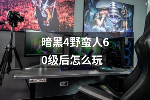 暗黑4野蛮人60级后怎么玩-第1张-游戏资讯-丘大网