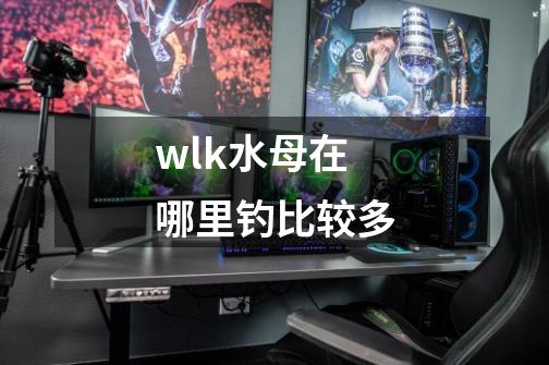 wlk水母在哪里钓比较多-第1张-游戏资讯-丘大网