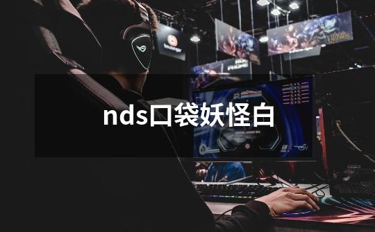 nds口袋妖怪白-第1张-游戏资讯-丘大网