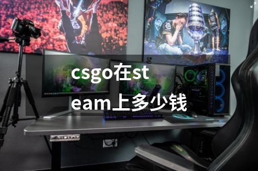 csgo在steam上多少钱-第1张-游戏资讯-丘大网